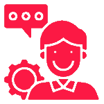 (ERP) Consultants